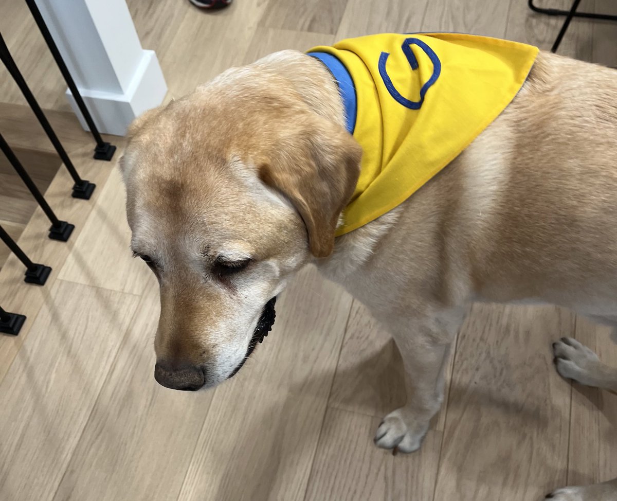 Daria Taylor tweet media