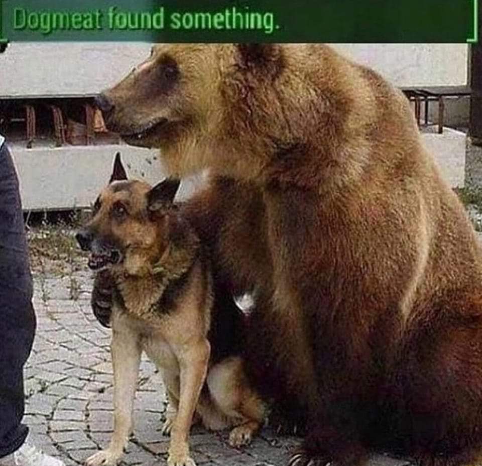 MrWillows's tweet image. I was found recently. Apparently I'm alive (I'm actually a skinwalker)
#Memes #thelongdark