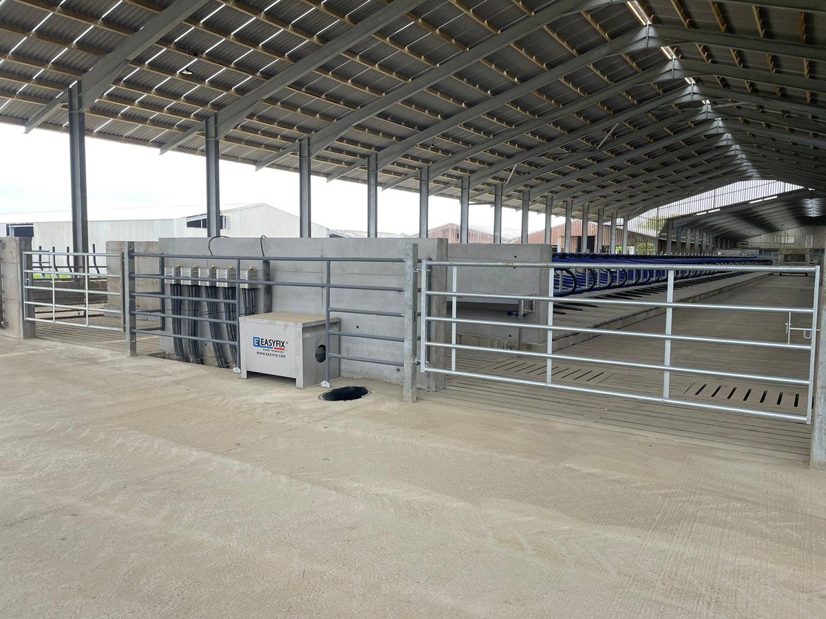 rossfourcows's tweet photo. This mammoth project has been finished this week in Cornwall! It’s been a pleasure to be part of. 60 point @dairymaster parlour at the other end. @EASYFIXOfficial https://t.co/isbFX7PfGX