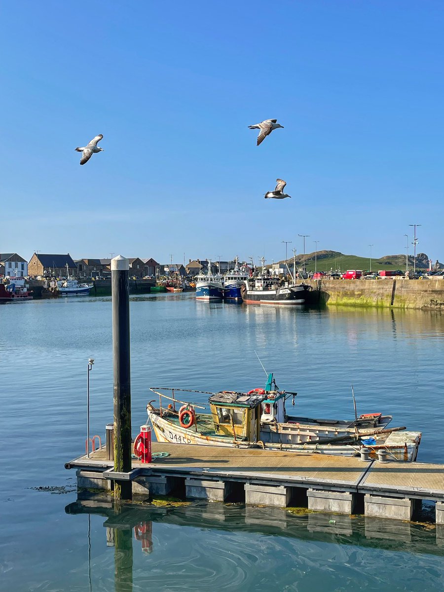 It was an absolutely gorgeous day in Dublin so took the train to Howth to walk along the cliffs and stroll along the water. #blessed #stephslayovers #crewlife