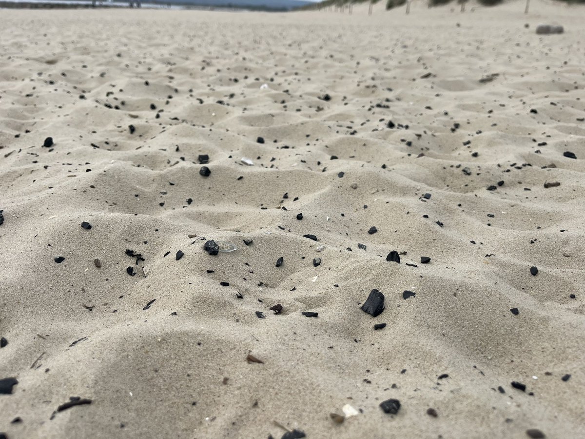 Mrs A (@mrsa4boys) on Twitter photo Would love to see <a href="/BCPCouncil/">BCP Council</a> ban these, in line with <a href="/DorsetCouncilUK/">Dorset Council UK</a> .  It’s not even the summer holidays as the beaches in <a href="/lovepooleuk/">Love Poole</a> are already strewn with charcoal. Witnessed some kids burying theirs in the sand last night 😖 Would love to see <a href="/BCPCouncil/">BCP Council</a> ban these, in line with <a href="/DorsetCouncilUK/">Dorset Council UK</a> .  It’s not even the summer holidays as the beaches in <a href="/lovepooleuk/">Love Poole</a> are already strewn with charcoal. Witnessed some kids burying theirs in the sand last night 😖