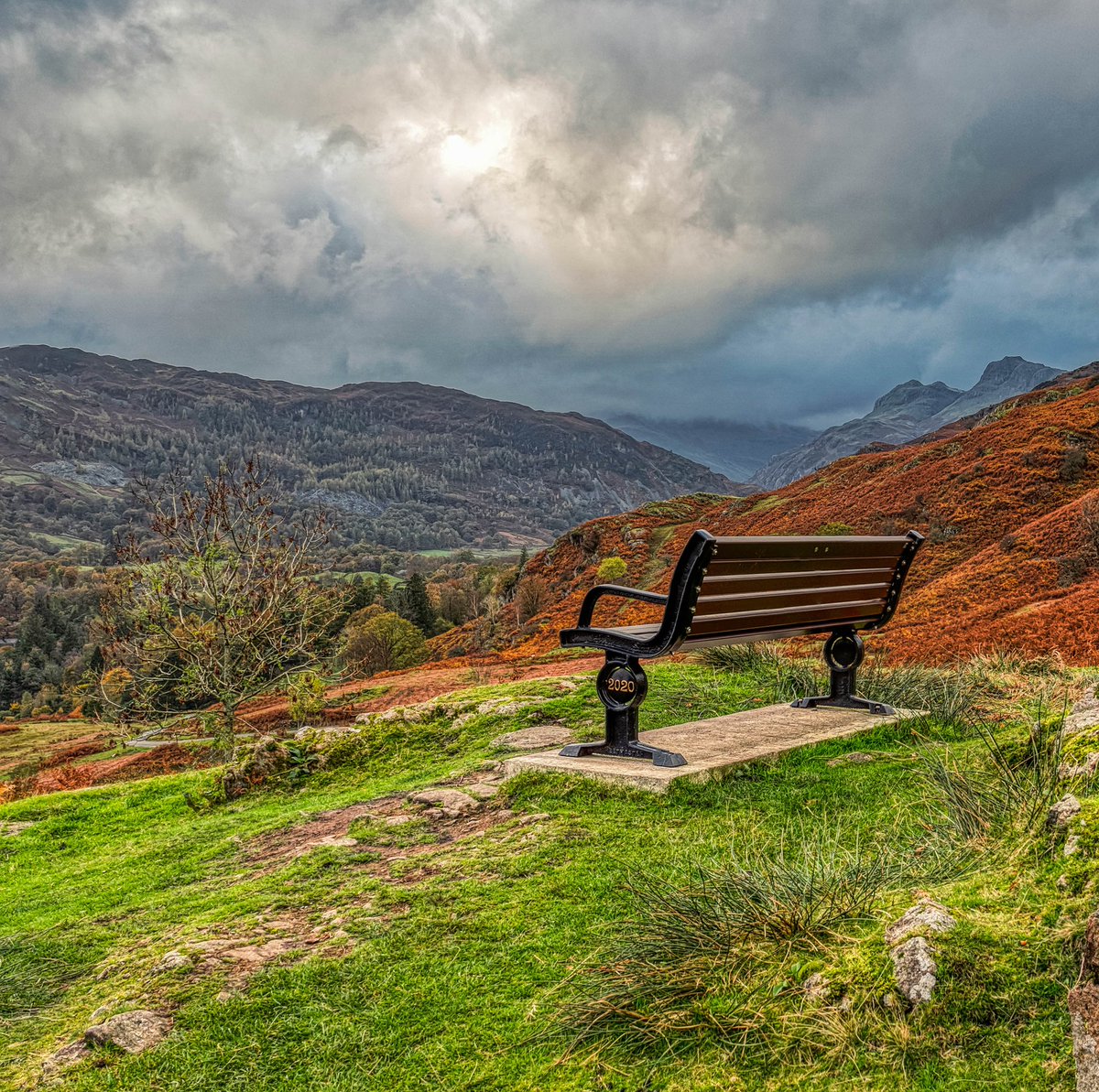 Bench Lovers take such amazing photographs 💕  #BenchArt
#Love❤️Benches