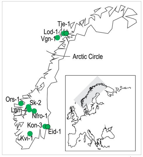 PlantCellEnvir's tweet photo. Findings suggest photoperiod responsiveness in Arabidopsis is influenced by growing season temperature variation, not spring frost risk. Flowering behaviors driven by favorable climates and growing season length.

Read more ⤵️
https://t.co/3IrRZQfZ7z #OpenAccess @wileyplantsci https://t.co/jerZhGneGd