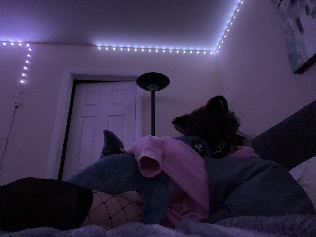 MomoTheFemboy's tweet photo. Haiii! Sorry that it has been over a month since I’ve posted >~~<
Here are two pictures of me and Blåhaj cuddling! :3
#femboy https://t.co/rvTBYHNMcV