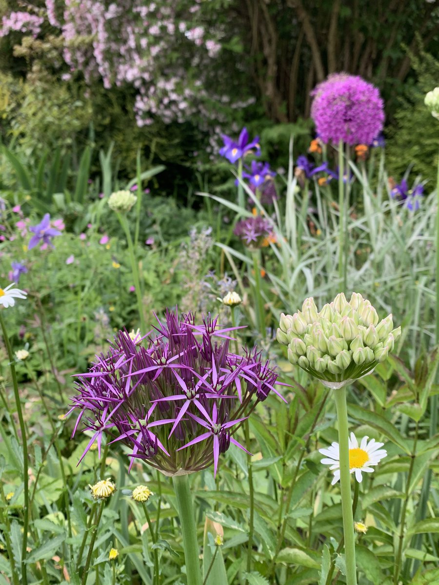 Helen Matthew ⛰🥾🏕🏑🏃‍♀️🚴‍♀️🏋🏼‍♀️ tweet media