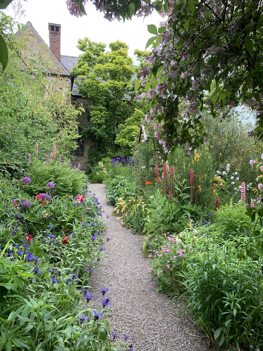 Helen Matthew ⛰🥾🏕🏑🏃‍♀️🚴‍♀️🏋🏼‍♀️ tweet media