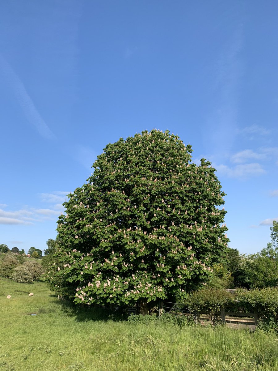 Helen Matthew ⛰🥾🏕🏑🏃‍♀️🚴‍♀️🏋🏼‍♀️ tweet media