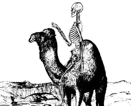 CryptidQuest tweet picture