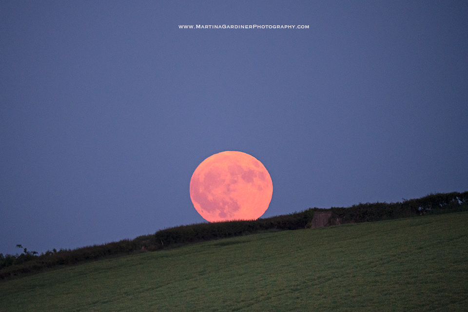 The strawberry #moon rolling uphill towards Burt Castle last night. At this early stage its colour was spectacular #Donegal