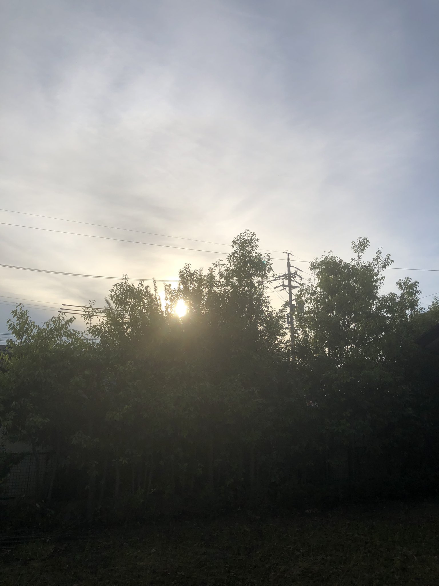 歌人 加藤治郎 on Twitter " 歌人は、早起きである The killer awoke before dawn Jim