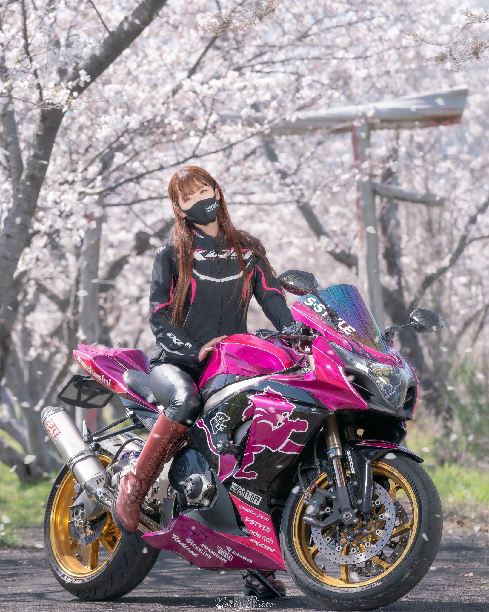 𝐒ちゃん🌸猫Photo Rider📷💎 on X: