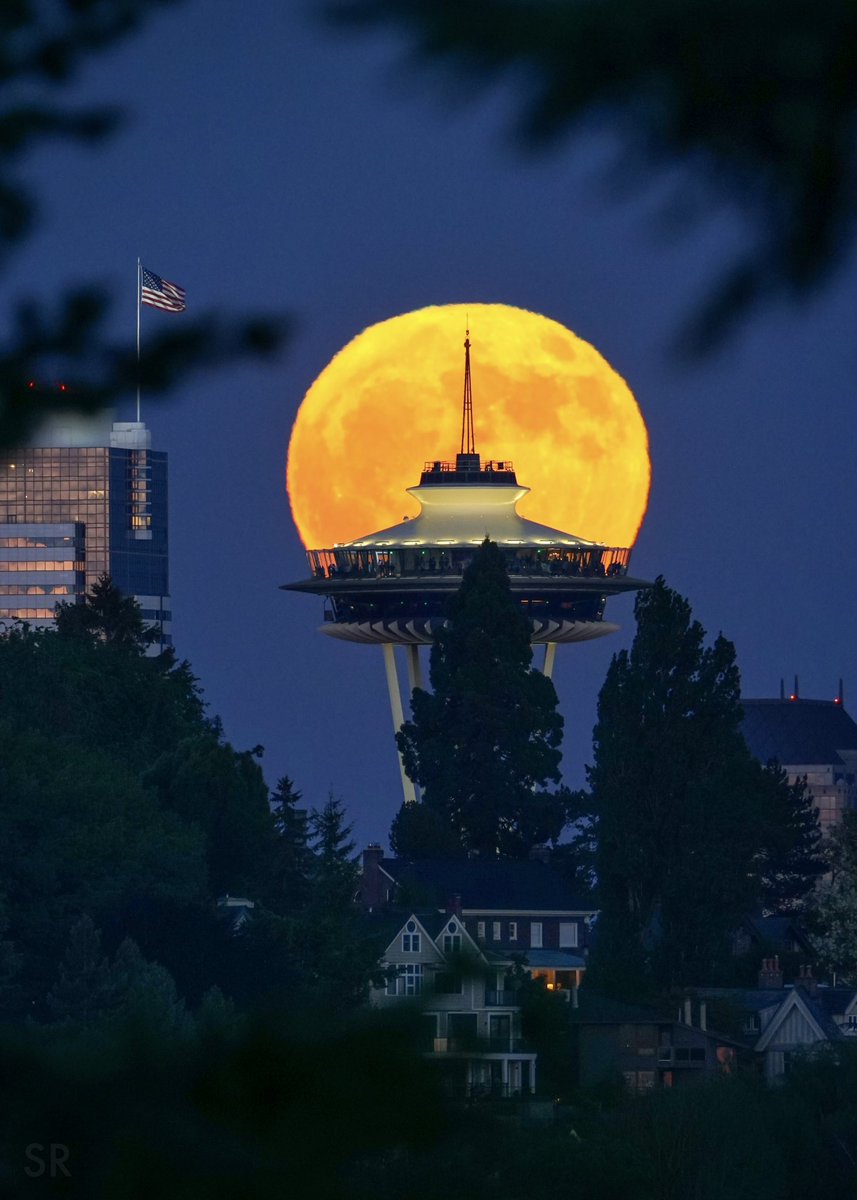 Steve Rice tweet media