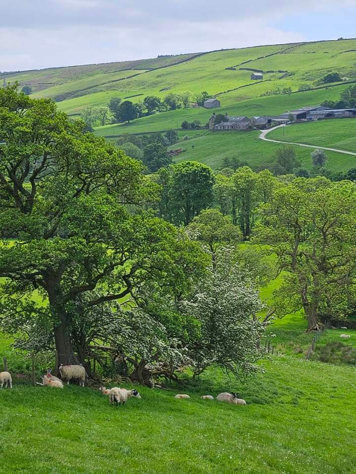 A lovely view from Lofthouse in Nidderdale North Yorkshire this afternoon