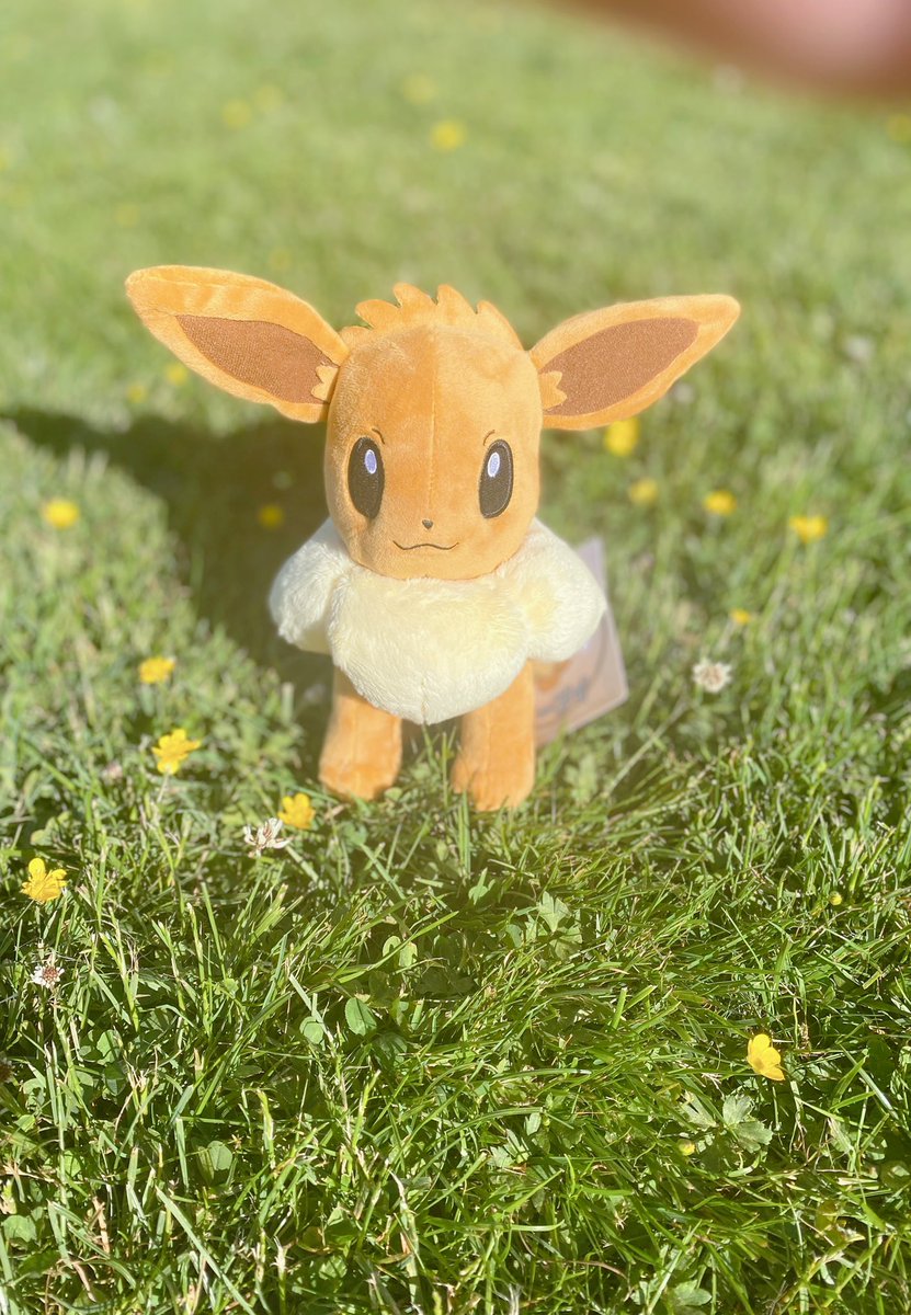 Eevee was relaxing in the fields 🌸🌼🩵

#pokemon #pokémon #pokemonphotography #pokemonplush #eevee #eeveelution #eeveeplush #eeveeplushie #pokemongo #pokemoncards #pokemoncommunity #pokemoncenter #pokemoncollector #pokemoncollection #cute #flowers #spring #sunshine #ポケモン