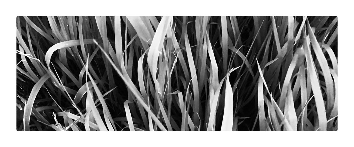 Desmond Smith tweet media