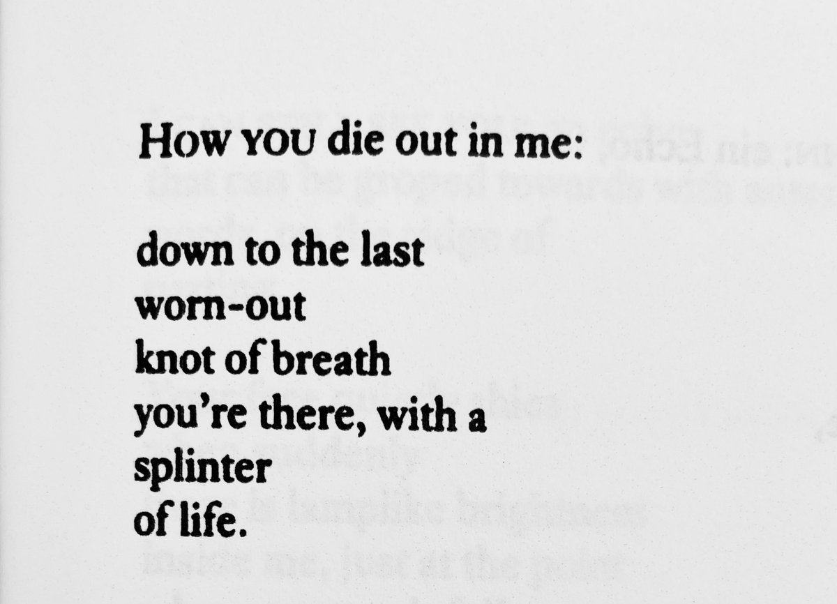 Maja Lukić tweet media