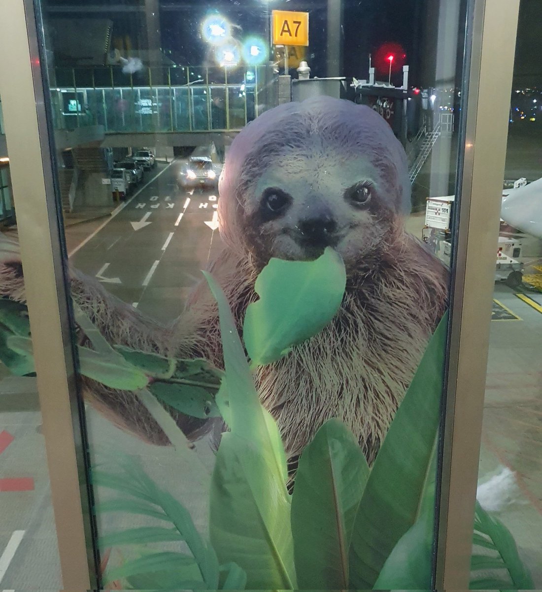 Arrived to the beautiful Costa Rica. Excited to dive deep into the world of #Rightscon2023 and discuss about #digital and #data rights, individual and collective #governance of data and beyond all, the experiences of people in the digital era.