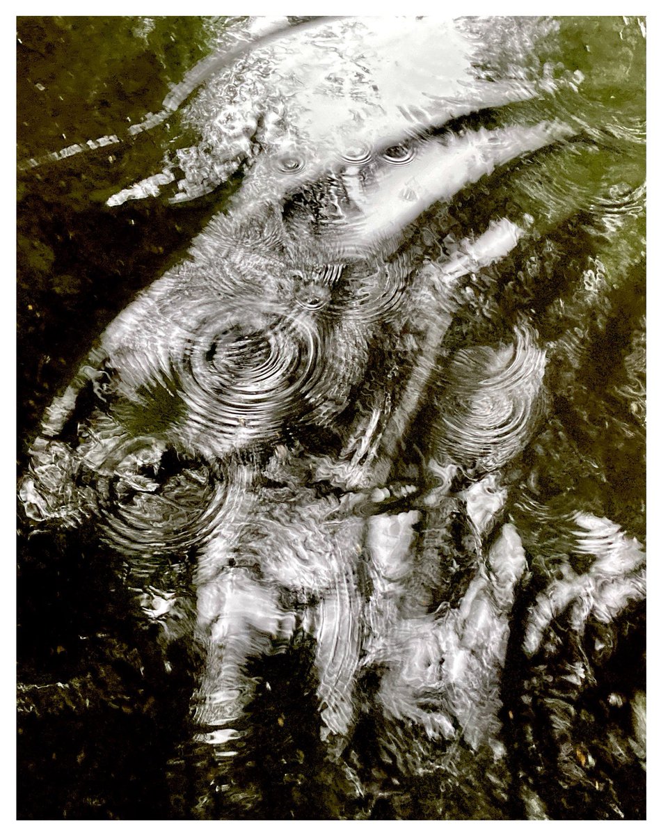 Walk to Work Glasgow tweet media