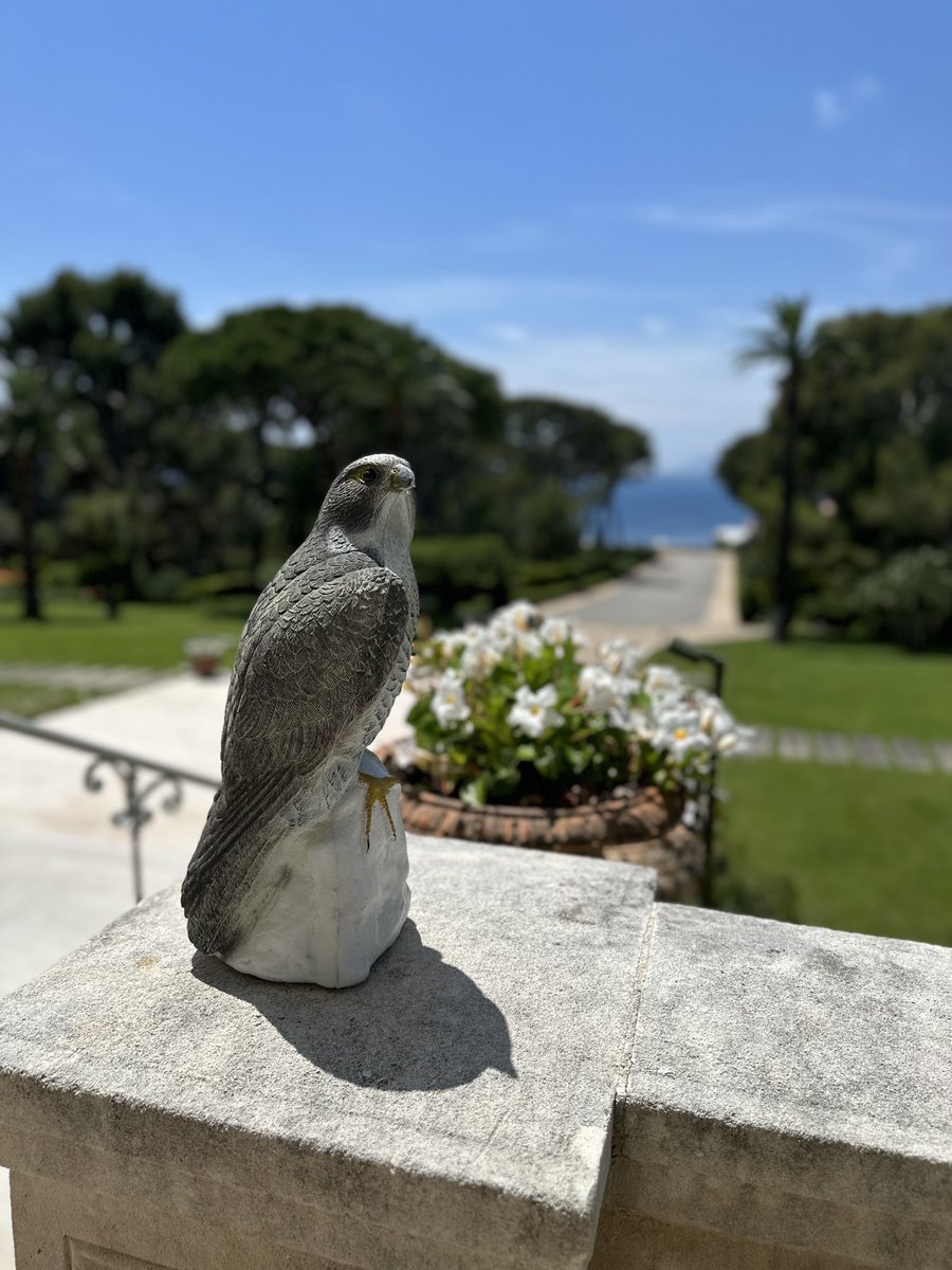 Scott Galloway tweet media