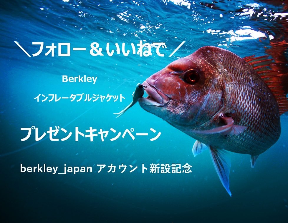 berkley_japan's tweet photo. 【プレゼントキャンペーン】
@berkley_japan アカウント新設記念

\フォロー&amp;いいね/でバークレイの
ライジャケ1名様にプレゼント！

更にリツイートで当選確率⤴️

★期間★  〜2023年8月31日

是非ご参加して下さい🙇‍♀️ https://t.co/cUenNNfTeN