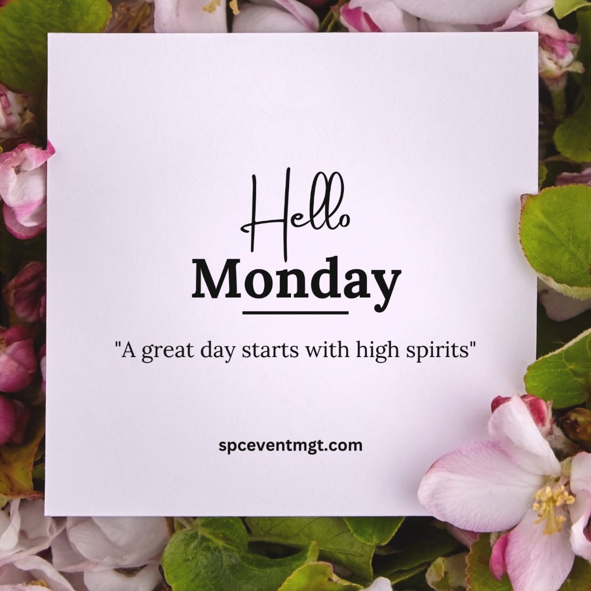 spceventmgt's tweet photo. Event Management is an ever-changing industry, it requires creative planning and re-planning, At SPC, we've made it our specialty. Our talented team stays on top of your concerns, event trends, and other information of interest. Happy Monday! https://t.co/otdV4iETA3