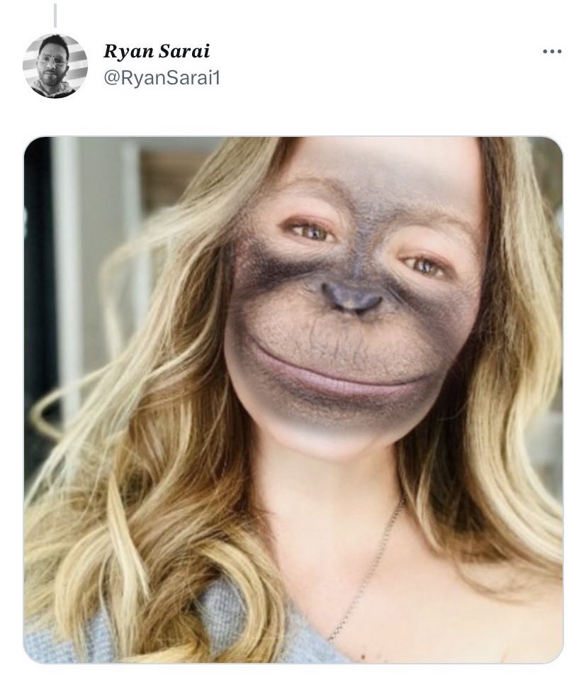 RealAndyLeeShow's tweet photo. I spend my free time scouring foreign language media trying to understand foreign interference so we can counter it and strengthen our democracy. I’ve been up all night reading.

You spend your free time harassing me and turning my profile picture into animals.

Have a good day. https://t.co/YA9kXHrLjQ