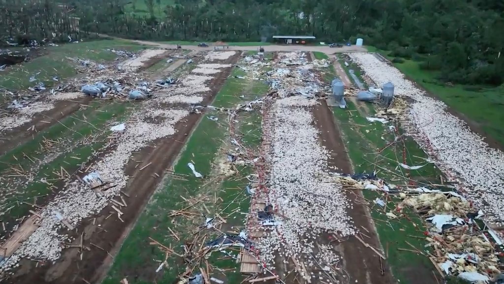breakingweather's tweet photo. At least one fatality and 20 injured following a destructive #tornado that ripped through the town of #Louin, Mississippi, late Sunday night: https://t.co/QFyTxEOlT8 https://t.co/YPOXW8sdk4