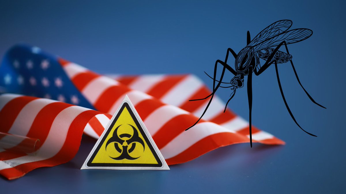 EmbajadaRusaES's tweet image. ❗️ El Pentágono está tratando de crear poblaciones de insectos portadores de enfermedades que no se propagan de forma natural, como la fiebre inducida por el virus del ébola, la hepatitis B, el SIDA y el síndrome respiratorio agudo severo - Ígor Kiríllov, Ministerio de Defensa 🇷🇺