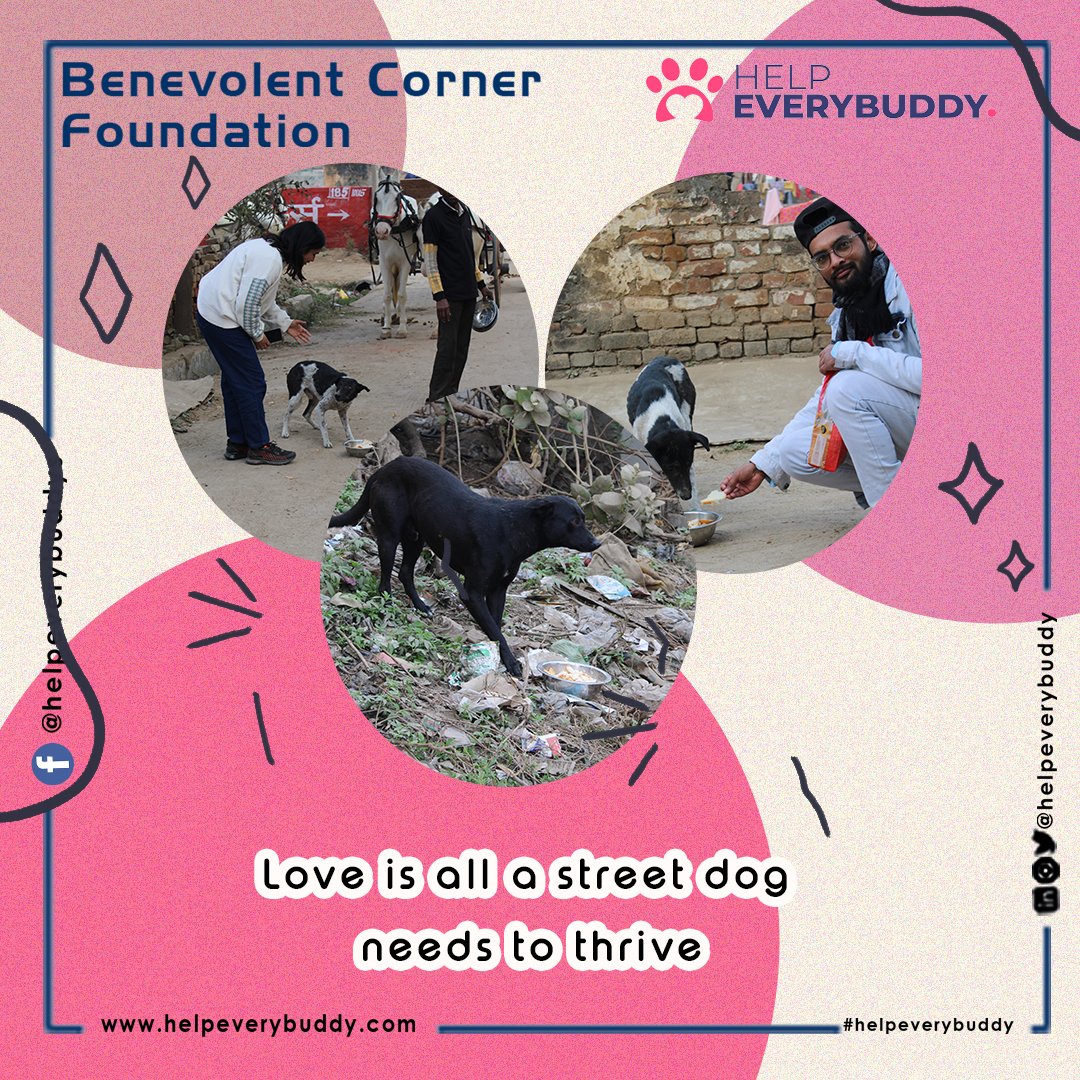 Join our efforts to save #streetdogs from hunger and neglect. Your donation can provide them with #food, #clean water, and veterinary care. Please consider supporting our Benevolent Corner Foundation to help #pay for our pets/dogs.

bit.ly/32384Kf