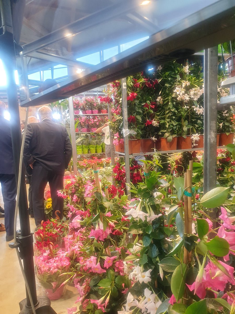 EurofloraOfficial tweet media