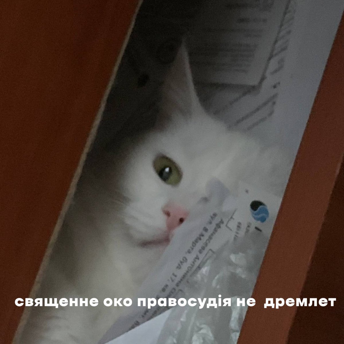 кулдклауд 🐎 (@ccacoldcloud) on Twitter photo 