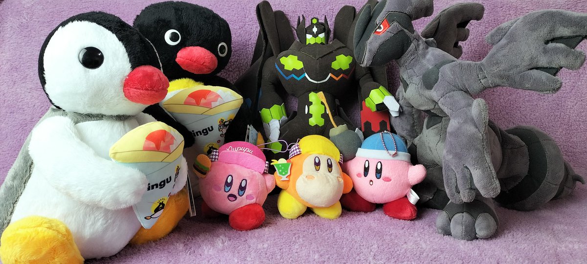 Plush_kingdoms's tweet photo. #plush  #pokemon #pokemonplush #pikachu #pikachuplush #zekrom #zekromplush #reshiram #reshiramplush #pokemoncollection #pokemonplushcollection #pokémonplushcollection
#pingu #pinguplush #pingudoll #pingucollections #kirbyplush #kirbyplush #kirbydoll #kirbycollection https://t.co/lFBMm19fvE