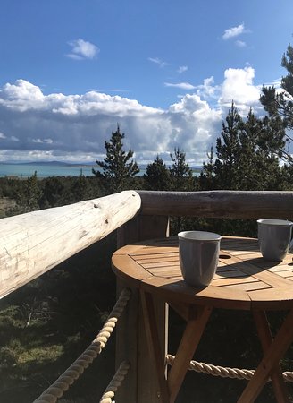 GM 🌞 to everyone still here. 
I've been on a mental break recently and back feeling refreshed.

New weeks, new opportunities. Let's get it fam 🫡