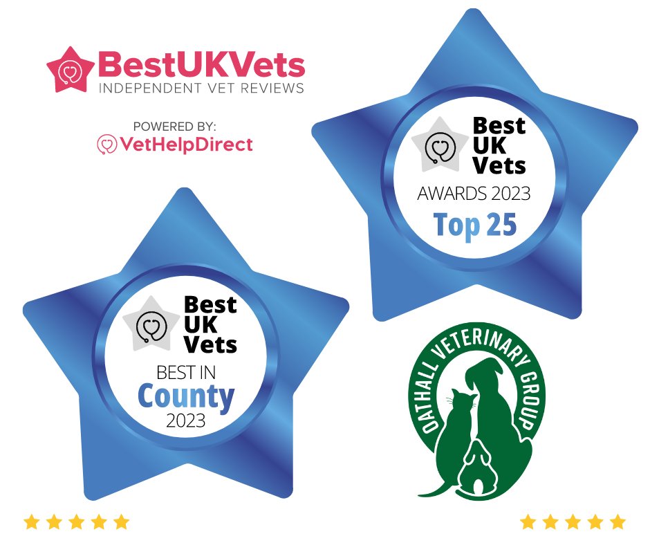 We are proud to win these awards & become the best vets in #westsussex @midsussex_times  @gomidsussex @GoHaywardsHeath @MSR1038 @moresussex PLS RT