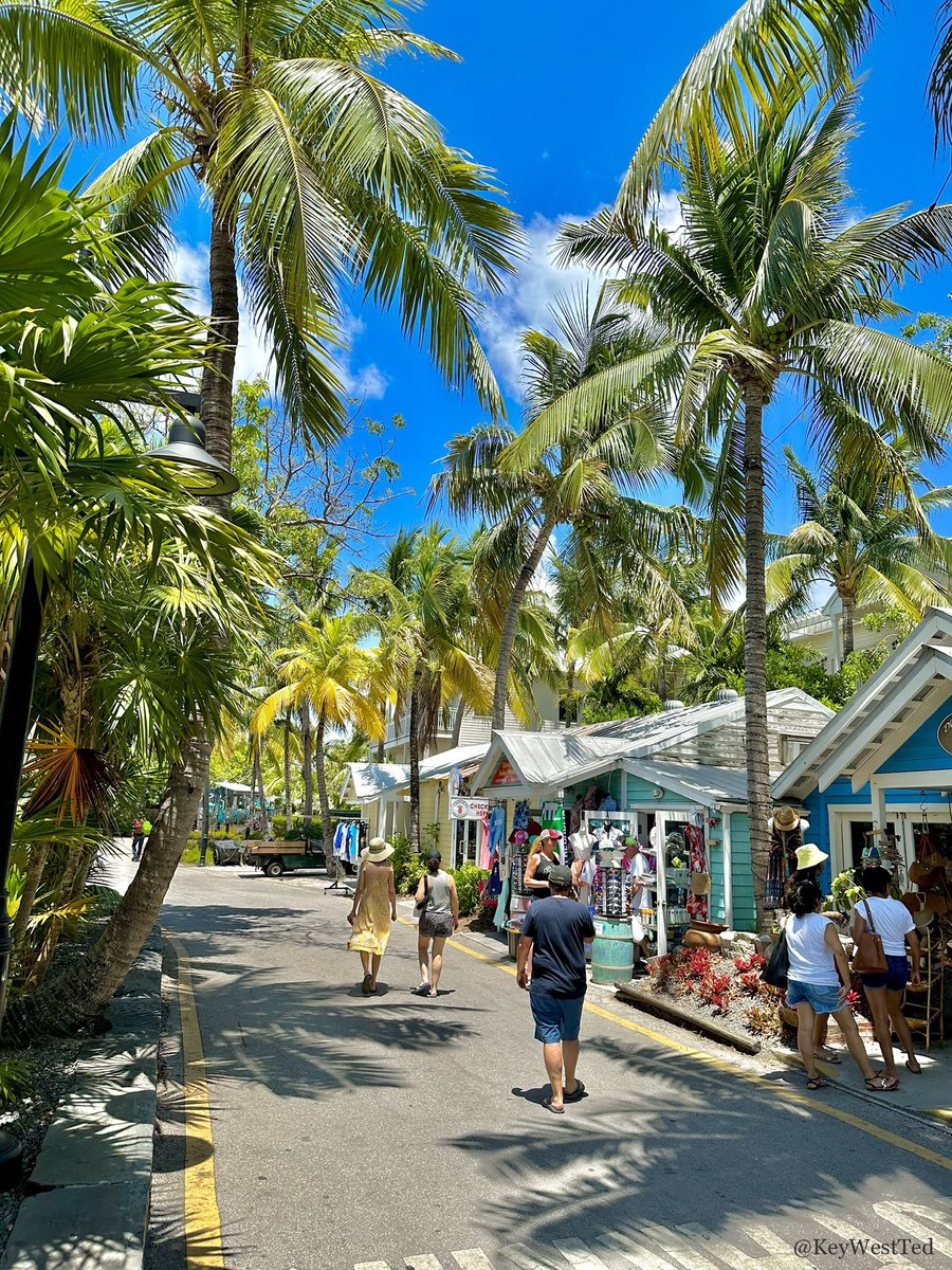 🚶Good for the Soul 🚶‍♀️

Sometimes an easy stroll down Lazy Way Lane is all you need to have an incredible day!

I hope this brings back great memories for you and if you haven’t done this walk…. Now is the Time!

You should be here
#keywest #goodforthesoul #youshouldbehere #kwfl