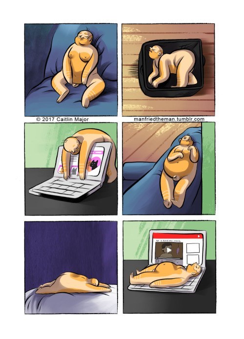 Jakub Nabrdalik 🇺🇦 tweet media