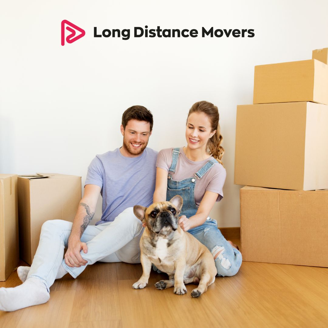 longdistanceldm's tweet photo. 📦✨🗂️ Dive into our latest blog, where we unveil the ultimate guide on organizing packing for your move. From decluttering tips to efficient packing strategies, we've got you covered.
https://t.co/2oA5rqJfGe
#longdistancemovers #whitegloveservice #longdistancemovingservices https://t.co/BD1xfHvVwG