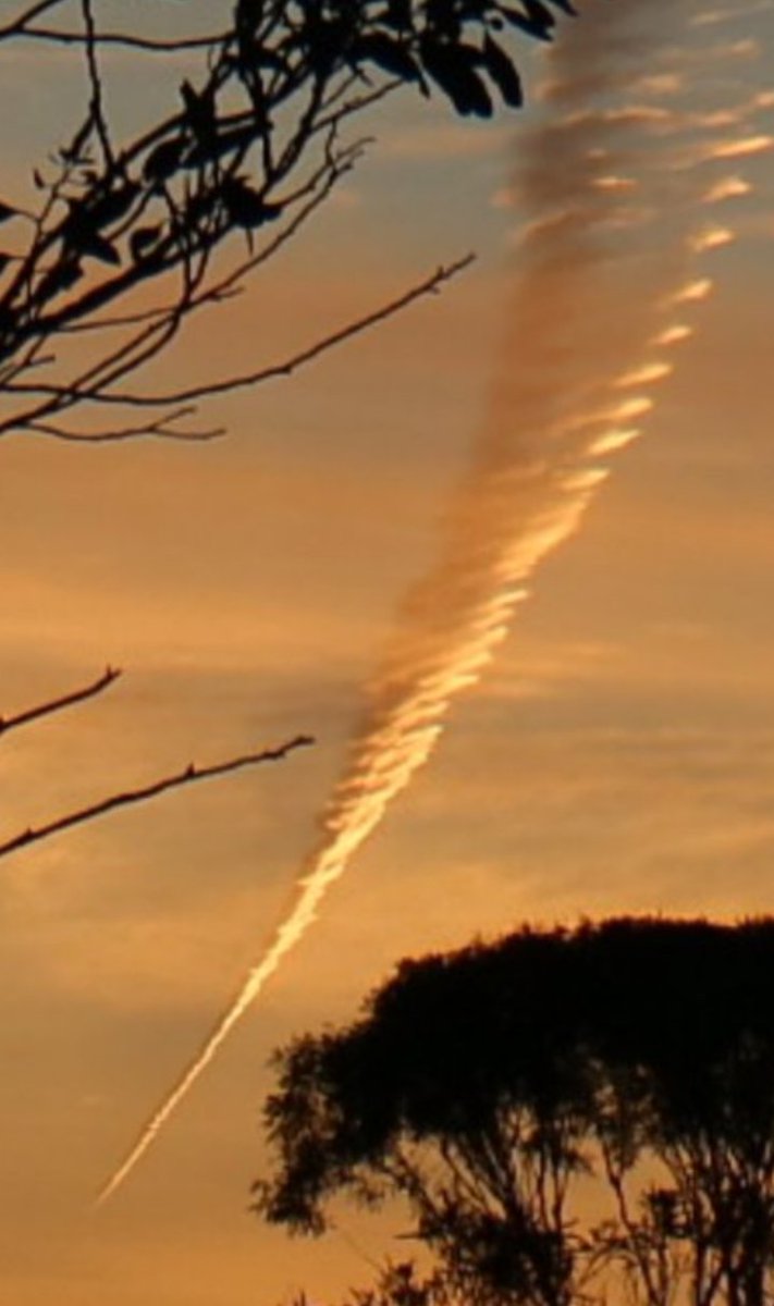 wanderinganimal's tweet photo. @2plus2equals41 @WeaponizedWorl1 @MollyGalt @djpeace7275 @TchuTchx @ozandywirth @Agent131711 @Chemtrail101 @Dan__Stevens @GeoengineeringO @444Cin444 @cotupacs @Mattcris4 @druggieri1 @freedumforall83 @Spanglish1971 @robster12065612 @FREEWOLFSPIRIT7 @MichaelGLut @GONQ17 King @guardur6 is blocked and a member in #File13forTrolls.

If they say these are contrails..then what will it look like in the sky if they're spraying?
like this?👇😂🤣 https://t.co/o87lHi2B1G