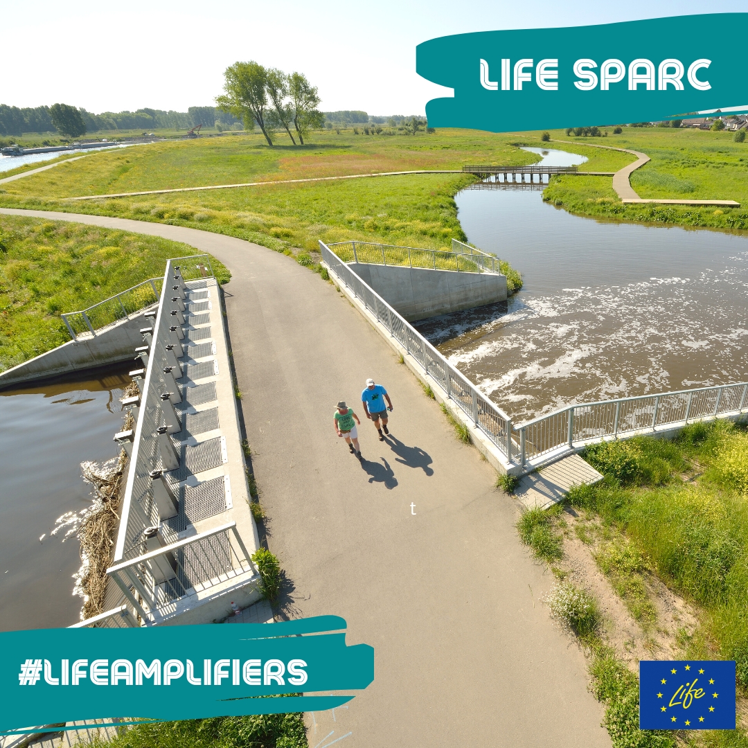 Our #LIFEAmplifier of the day is living proof of what #nature can do to protect us from #ClimateChange.🪖

By giving the #ScheldtRiver the space it needs to flow naturally, the 🇧🇪 #LIFEproject LIFE SPARC ensures better protection vs flooding.🌈

More 👉 life-sparc.eu