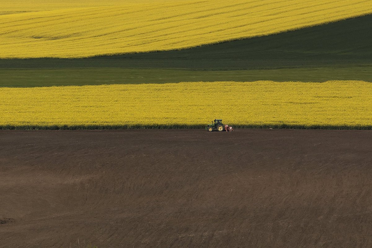 Gm gm! Have a great week! 
Is there anyone who misses me 😆 Don't worry i am alive 🤣🤣