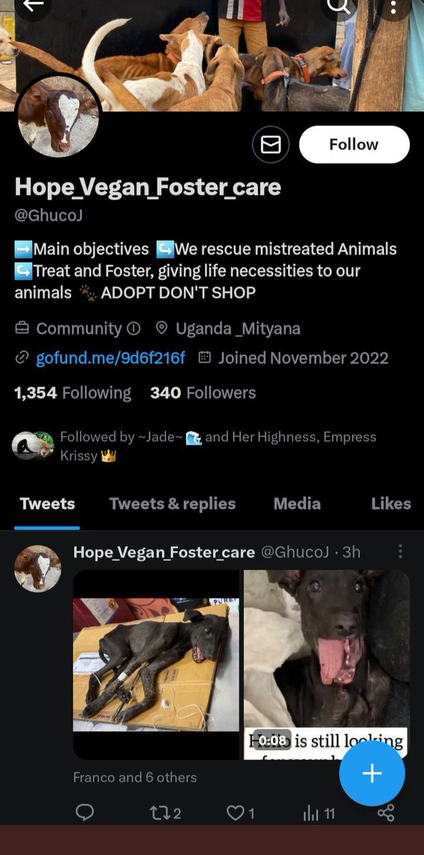 WARNING ⚠️ GRAPHIC IMAGES
#dogsoftwitter #DogRescue #Dogs #AdoptDontShop #ARA yet another rescue account from the same region on Uganda where a group of men were deliberately harming dogs to solicit donations on social media. 
Some of the most disgusting images I've seen on here