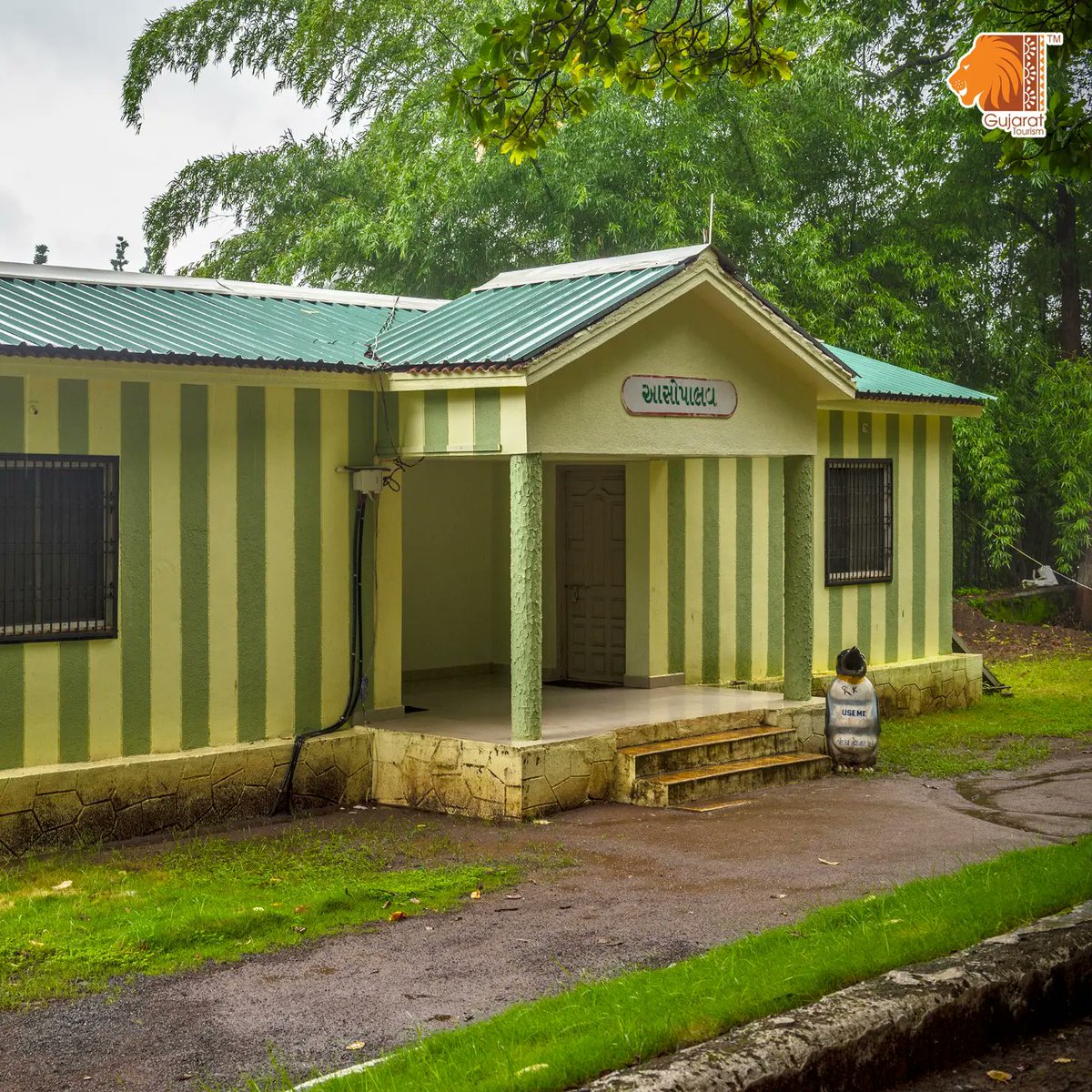 Escape to the Kilad Eco Tourism Campsite at Nani Waghai, Navsari. Explore #nature trails, local cuisine, and indulge in eco-friendly #adventures. Connect with nature's essence, where every step is a journey of conservation and discovery.

#gujarattourism #Gujarat #Monsoon2023