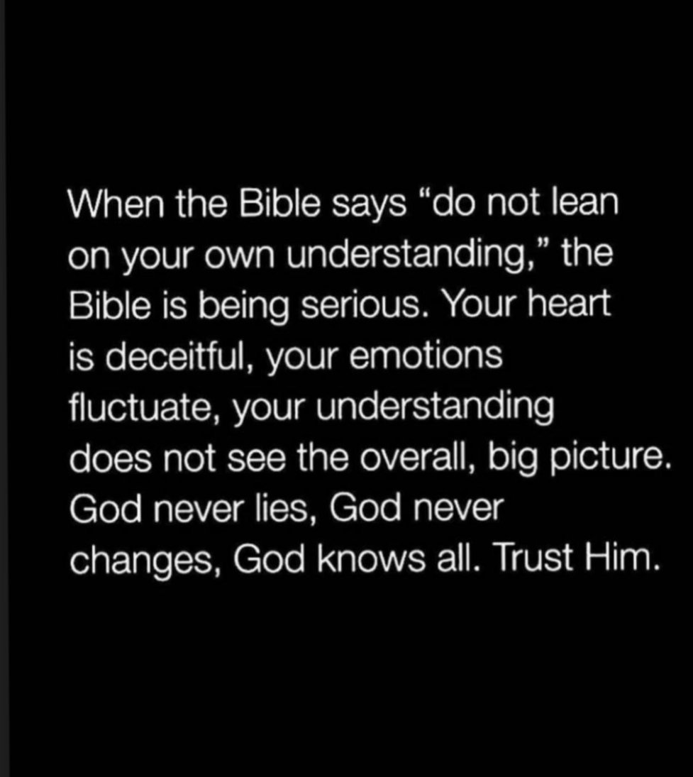 favoured10000's tweet photo. Do not lean on your  'own understanding ' https://t.co/iqLEhxFg6a