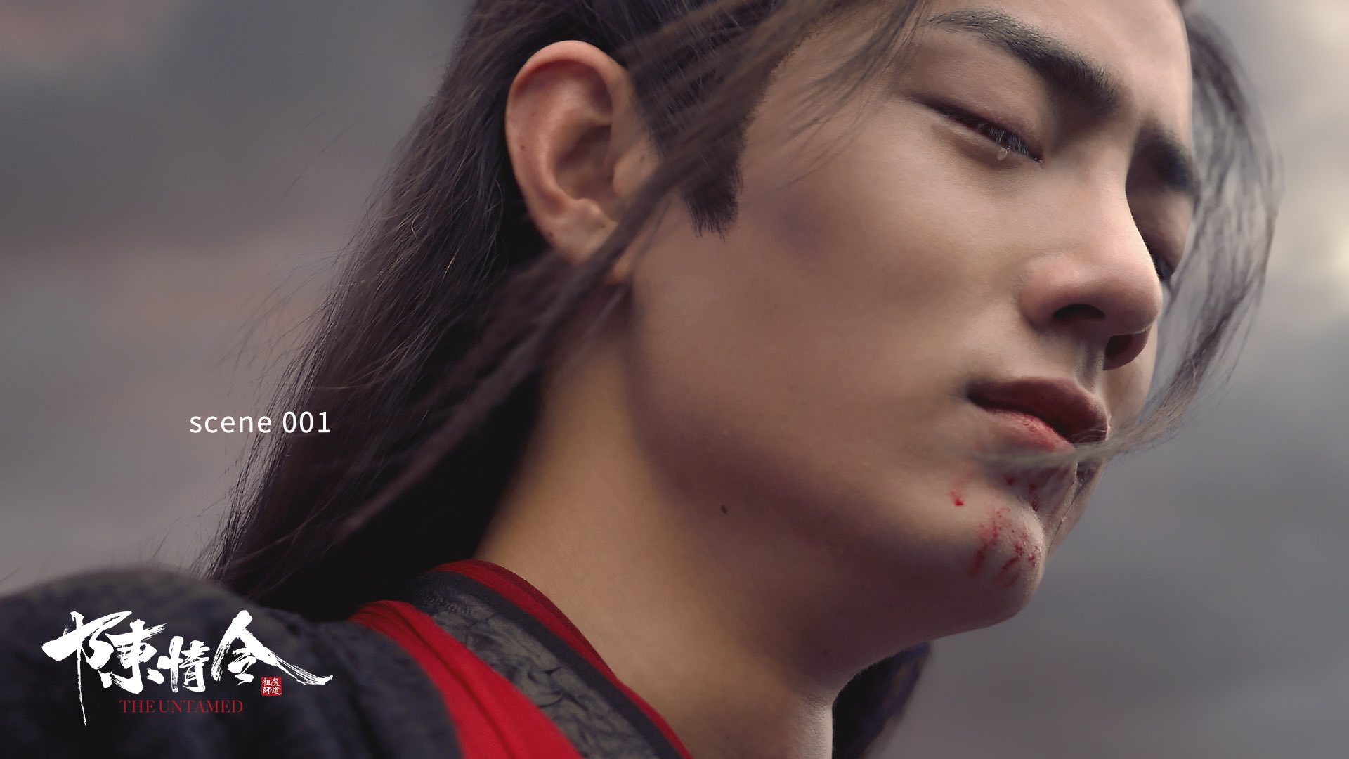 ドラマ『陳情令』公式 on X: 
