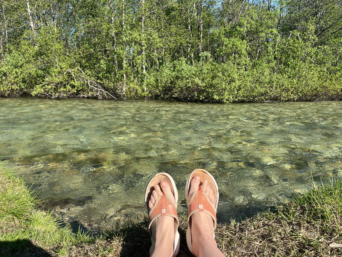 Being in the arctic and able to wear my flip flops has mixed emotions, it’s hot hot 🥵