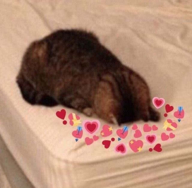 DIN & GROGU WERE SO HAPPY TO OFFICIALLY BECOME A FAMILY I’M-