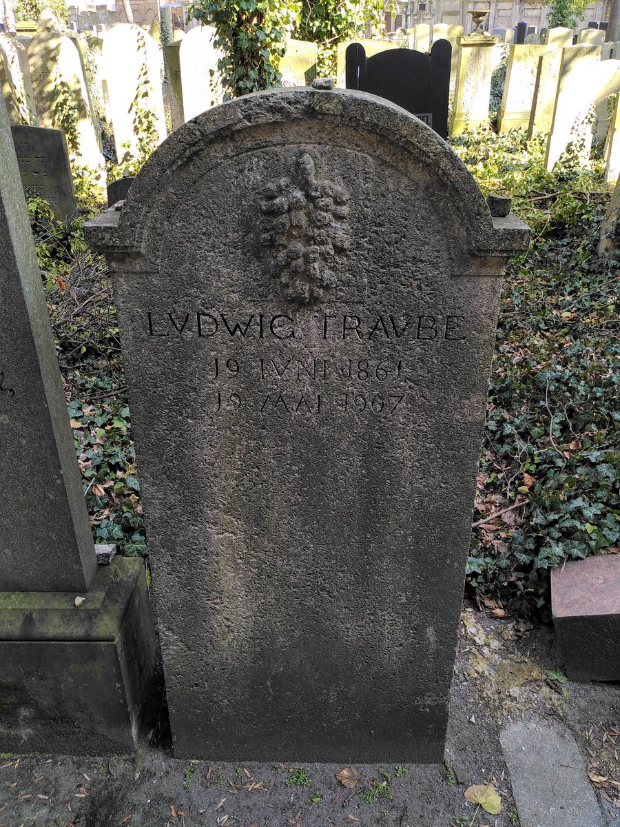 TeapotLinguist's tweet image. Ludwig Traube’s grave with a gravestone featuring grapes (German &quot;Traube&quot; means &apos;grape&apos;) is located in the Schönhauser Allee Jewish cemetery in Berlin.

#Histlx
