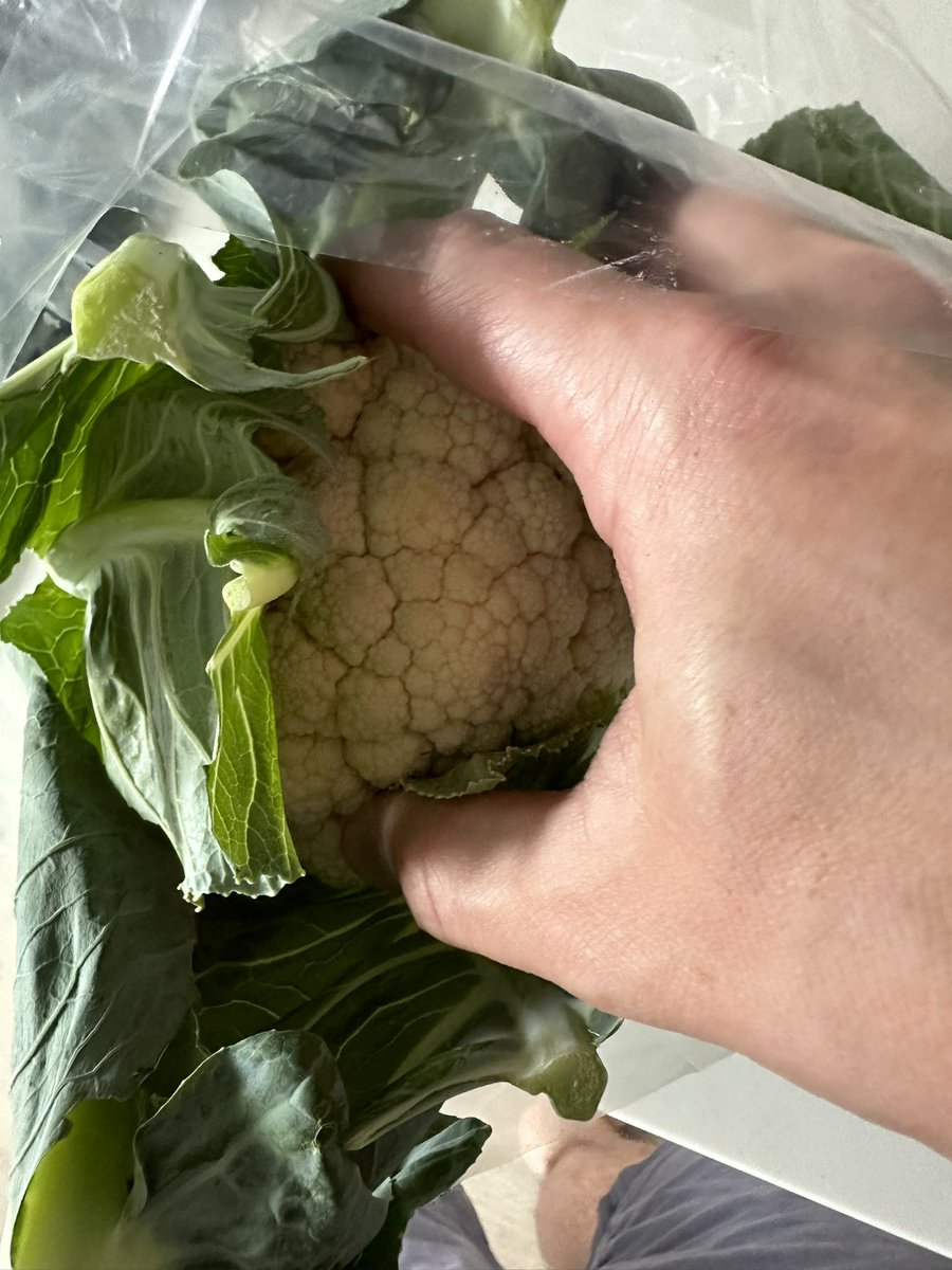 see_research's tweet photo. The curse of the tiny cauliflower strikes again @Ocado https://t.co/qlngvlwR08