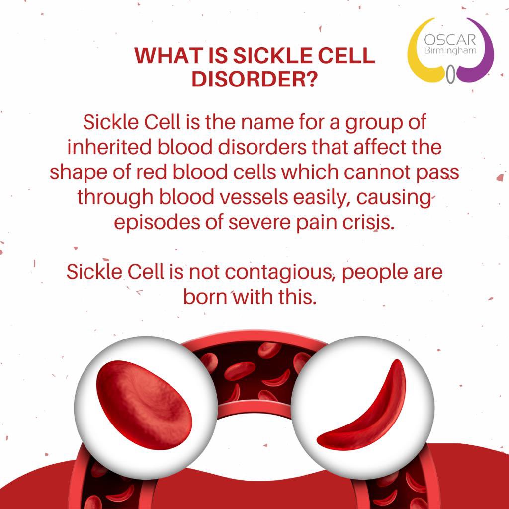 19th of June is World Sickle Cell. A United Nations @WHO recognised day to raise awareness of sickle cell. 

#sicklecellawareness #sicklecell #sicklecellwarrior #WSCD2023 #community #celebrate