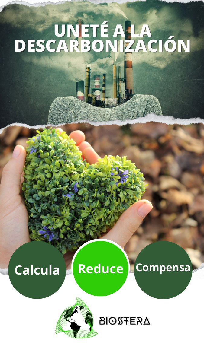 BiossFera tweet media